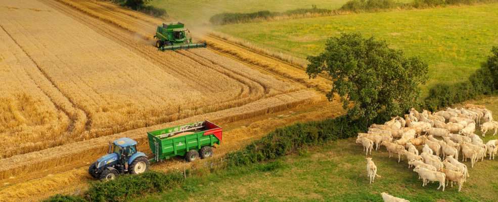 Deux coopératives agricoles se mettent à la data pour faire face à l&rsquo;avenir