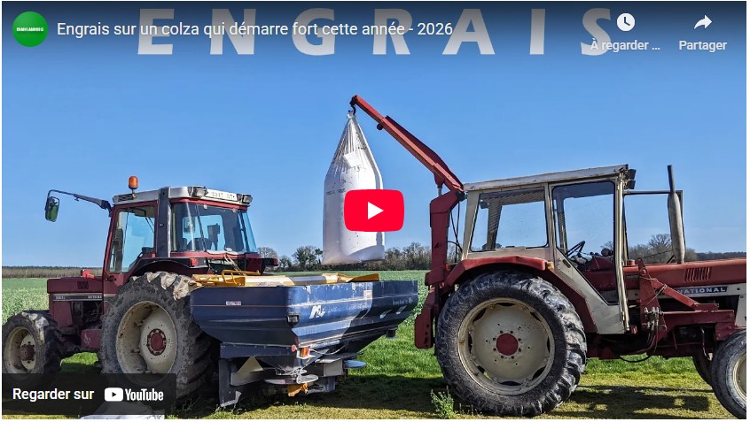 Engrais sur un colza qui démarre fort cette année – 2026
