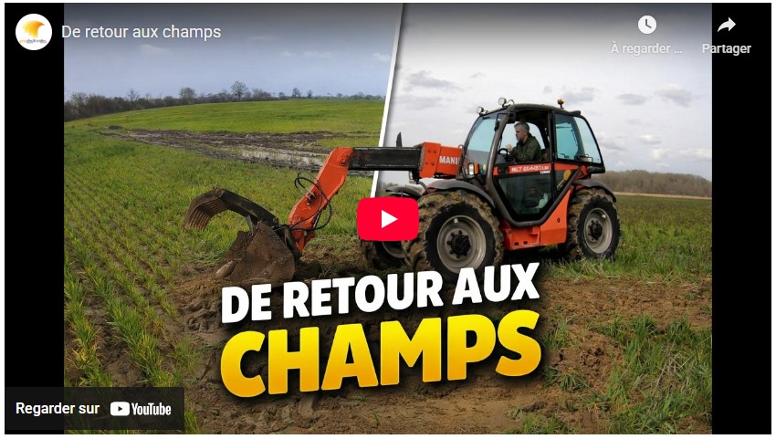De retour aux champs