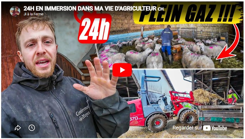 24h non-stop : gouverner, moutons, taureaux, désileuse, nettoyage, fin de journée !