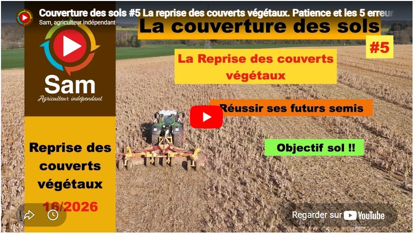 Couverture des sols #5 La reprise des couverts végétaux. Patience et les 5 erreurs à éviter.