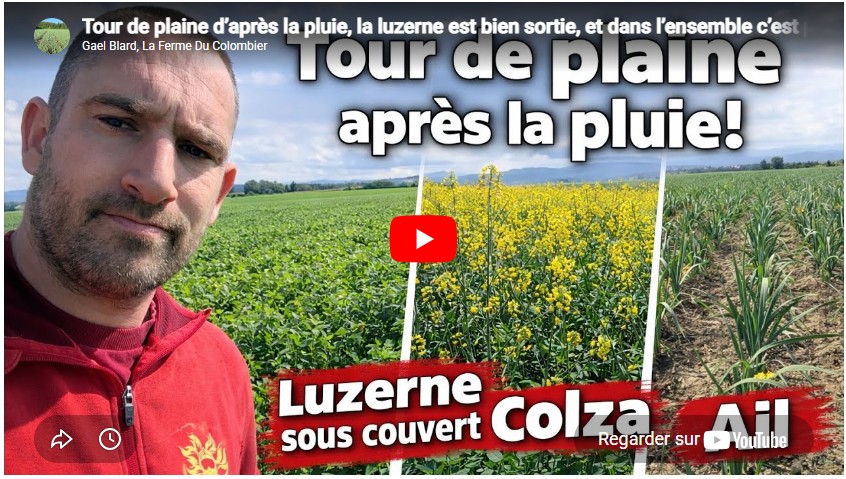 Tour de plaine d’après la pluie, la luzerne est bien sortie, et dans l’ensemble c’est pas si mal