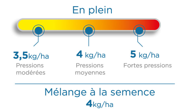 Illustration des doses utilisées en plein