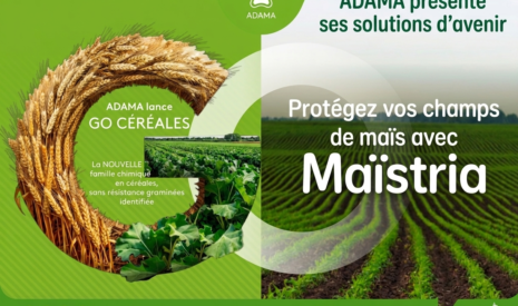 Adama lance GO Céréales et Maïstria dans son offre de désherbage en grandes cultures