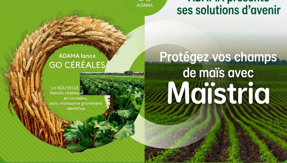 Adama lance GO Céréales et Maïstria dans son offre de désherbage en grandes cultures