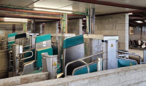 Le GAEC des Chapuis réussit son pari avec le Batch Milking
