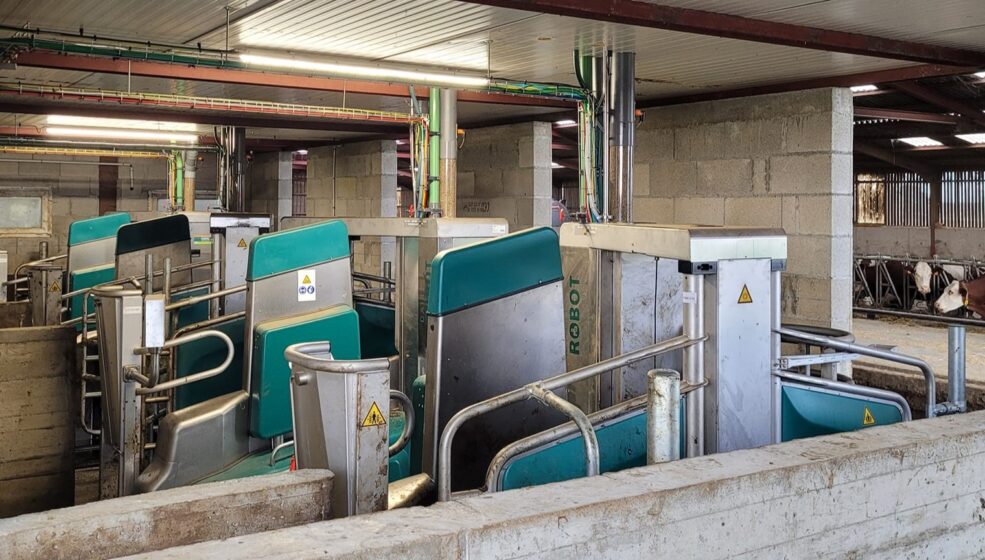 Le GAEC des Chapuis réussit son pari avec le Batch Milking