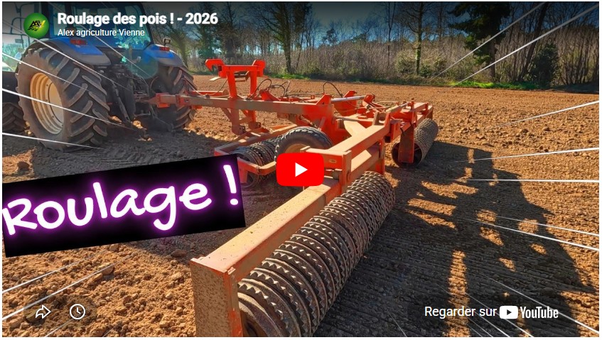 Roulage des pois ! – 2026