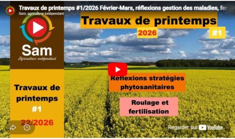 Travaux de printemps #1/2026 Février-Mars, réflexions gestion des maladies, fertilisation, semis.