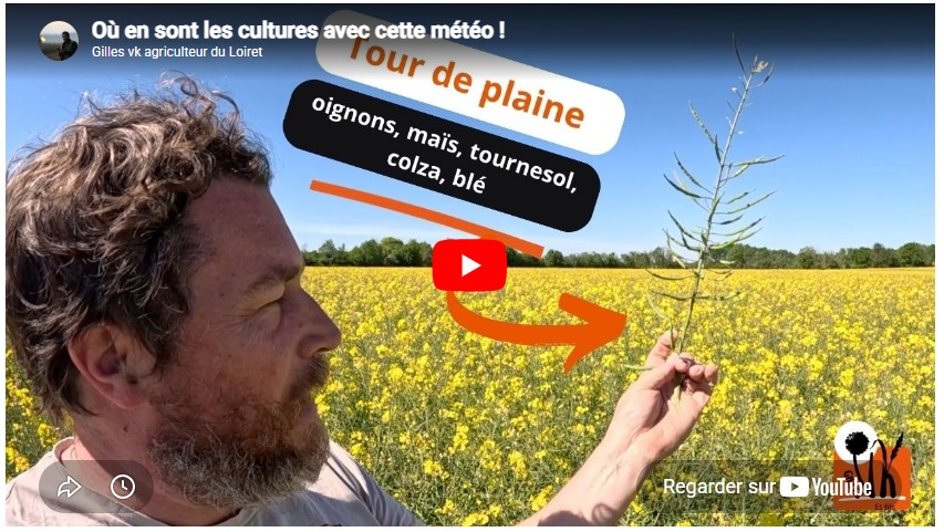 Où en sont les cultures avec cette météo !