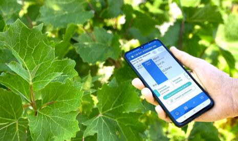Tout savoir sur la solution Andromède pour piloter l&rsquo;eau agricole