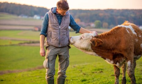 Investir dans le cheptel français pour soutenir l’agriculture