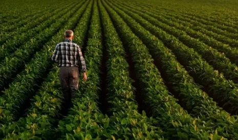 Terrena lance la coalition Covalo Ouest, pour une agriculture régénératrice 