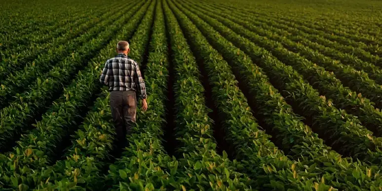 Terrena lance la coalition Covalo Ouest, pour une agriculture régénératrice 