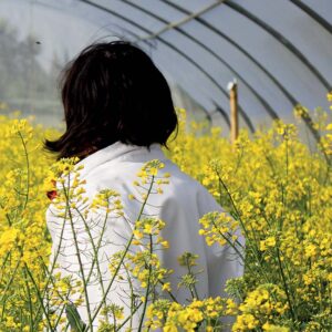 Sélection variétale : les clés du choix variétal