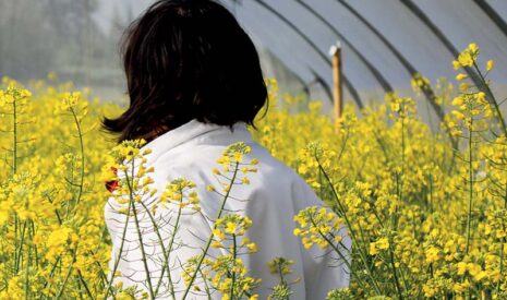 Sélection variétale : les clés du choix variétal