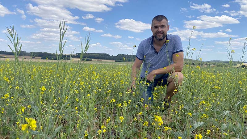 vincent lecuret dans son champs de moutarde
