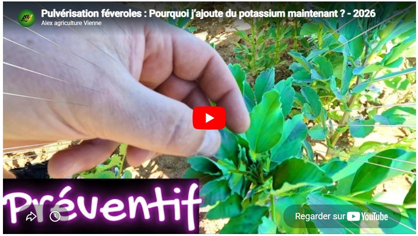 Pulvérisation féveroles : Pourquoi j’ajoute du potassium maintenant ? – 2026