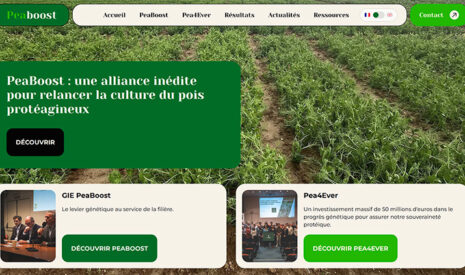 Tout savoir sur l&rsquo;avenir du pois avec le site PeaBoost