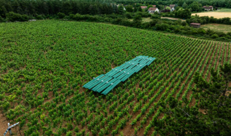 BIENESIS lance ses canopées robotiques dans les vignobles de France