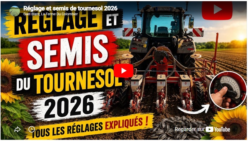 Réglage et semis de tournesol 2026