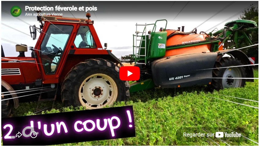 Protection féverole et pois