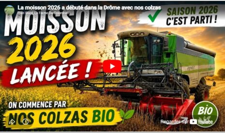 La moisson 2026 a débuté dans la Drôme avec nos colzas