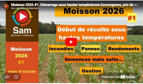 Moisson 2026 #1. Démarrage sous hautes températures.Escourgeons, prix de vente, réflexions et colère