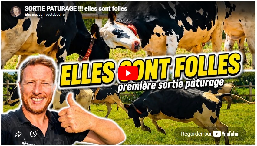 Sortie paturage !!! Elles sont folles