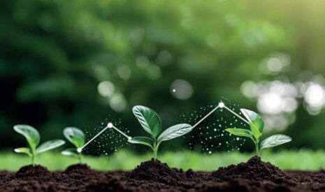 La phytothérapie : une alternative crédible pour renforcer la santé des cultures