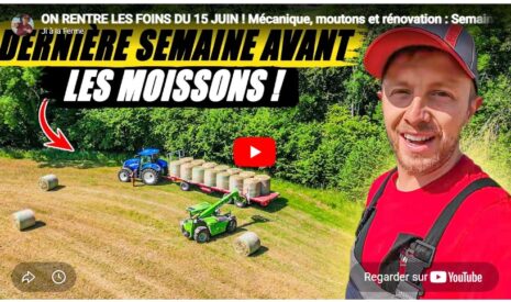 On rentre les foins du 15 juin ! Mécanique, moutons et rénovation : Semaine intense à la ferme !