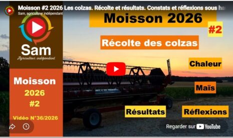 Moisson #2 2026 Les colzas. Récolte et résultats. Constats et réflexions sous hautes températures.