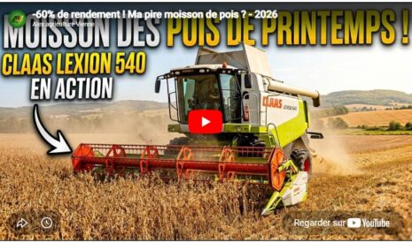 -60% de rendement ! Ma pire moisson de pois ? – 2026