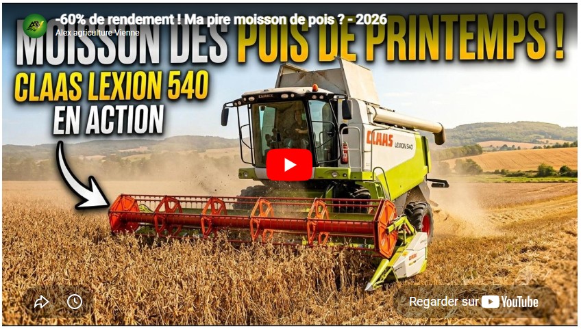 -60% de rendement ! Ma pire moisson de pois ? – 2026