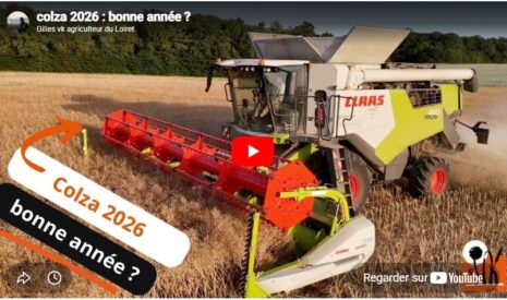 Colza 2026 : bonne année ?