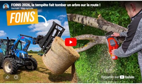 Foins 2026, la tempête fait tomber un arbre sur la route !