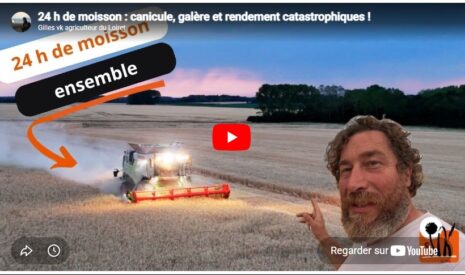 24 h de moisson : canicule, galère et rendement catastrophiques !