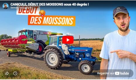 Canicule, début de moissons sous 40 degrés !