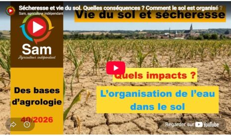 Sécheresse et vie du sol. Quelles conséquences ? Comment le sol est organisé ? Les eaux du sol.