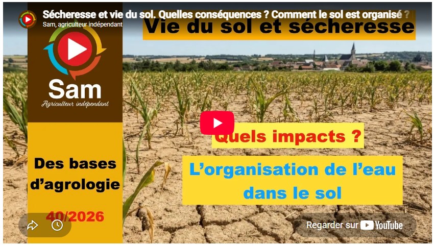 Sécheresse et vie du sol. Quelles conséquences ? Comment le sol est organisé ? Les eaux du sol.