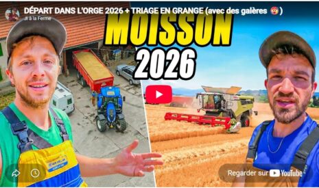 Départ dans l&rsquo;orge 2026 + triage en grange (avec des galères)