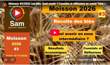 Moisson #3/2026 Les blés. Quel avenir ? Constats et réflexions en zones « intermédiaires ».
