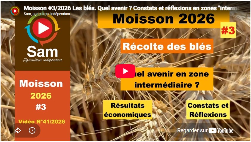 Moisson #3/2026 Les blés. Quel avenir ? Constats et réflexions en zones « intermédiaires ».