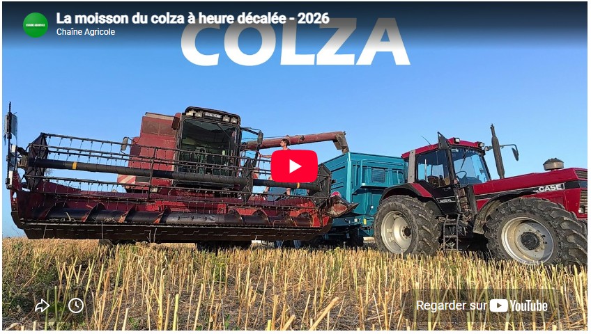 La moisson du colza à heure décalée – 2026