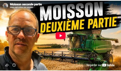 Moisson seconde partie