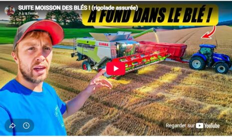 Suite moisson des blés ! (rigolade assurée)