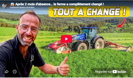 Après 2 mois d&rsquo;absence… la ferme a complètement changé !