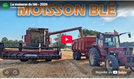 La moisson du blé – 2026