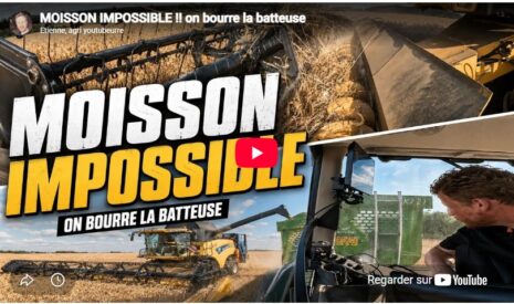 Moisson impossible !! on bourre la batteuse