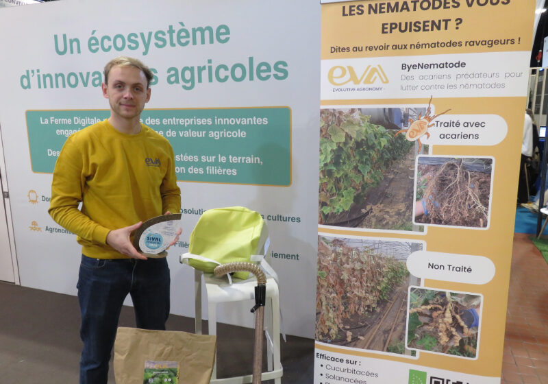Un acarien prédateur des nématodes